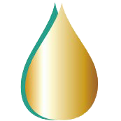 Petrol Station 2027 logo