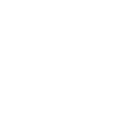 New York State Innovation Summit logo