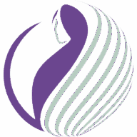 International Gynecologic Cancer Society - IGCS Annual Global Meeting 2026 logo