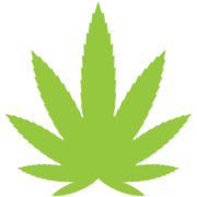 Cannafest Prague logo