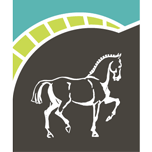 Equestrian Russia 2026 logo
