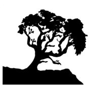 Experimental Nuclear Magnetic Resonance Conference logo