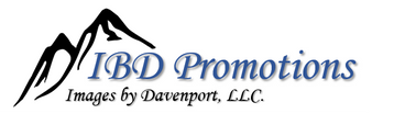 Raspberry Spring Expo logo