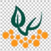Graintech 2026 logo
