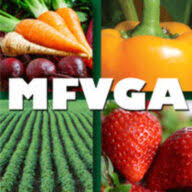 MFVGA Expo logo